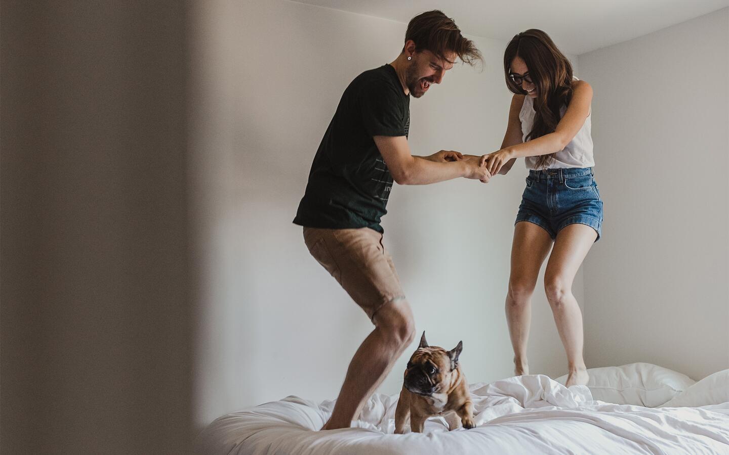 Two people laughing jumping on a bed with their dog